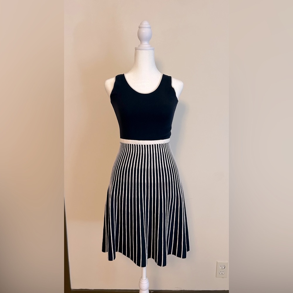 Banana Republic navy and white knit dress